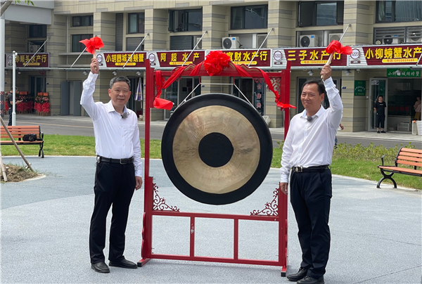 高淳螃蟹節開幕 遇豐收蟹質更優