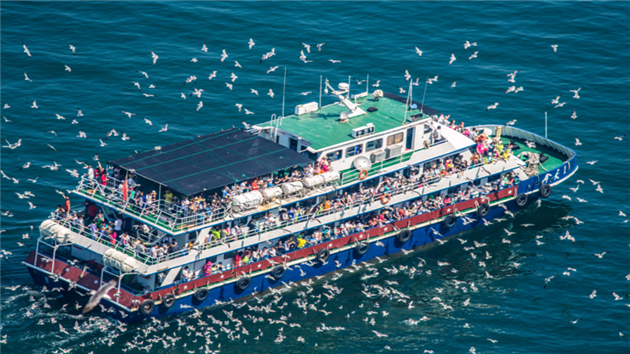 煙台發出「求賢榜」：拋出一系列「大禮包」