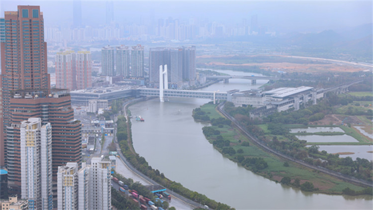 人社部等四部門發文：支持港澳青年在大灣區就業創業