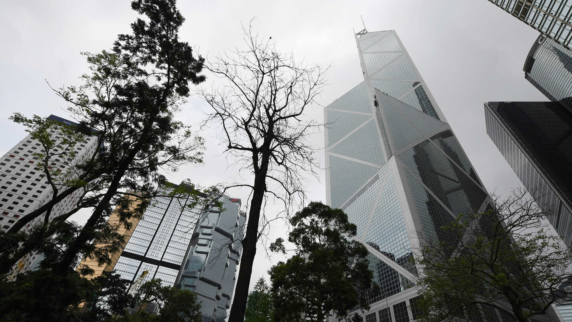 中銀首三季年輕新客戶數目升20%