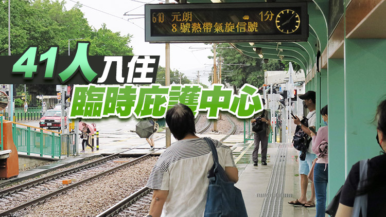 8號風球下1名女子受傷 港府收15宗塌樹報告