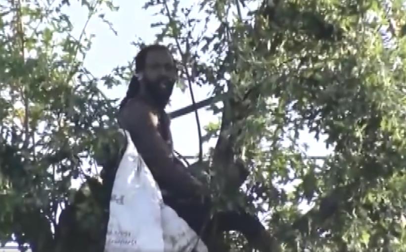 美國一男子在樹上與警察對峙近三天 曾在監獄遭到虐待