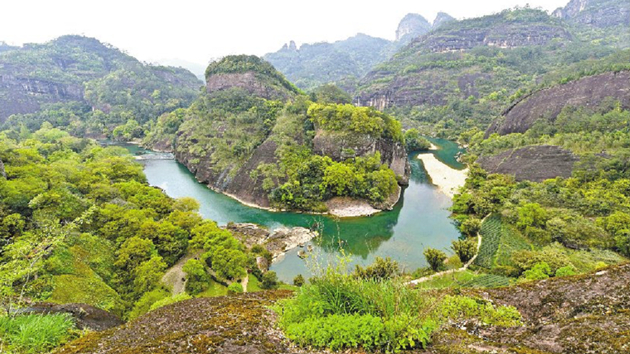 習近平出席COP15領導人峰會並講話 共建地球生命共同體