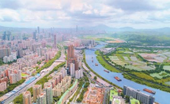 AI專家的選擇 港籍海歸博士後重回深圳福田創業