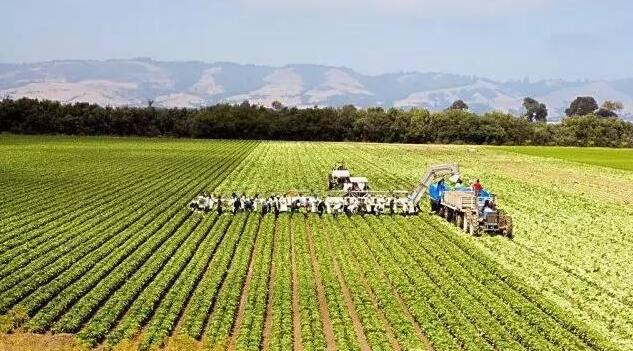 美國農產品期貨20日全線上漲