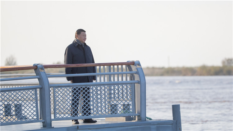 有片 | 習近平在山東東營考察黃河入海口