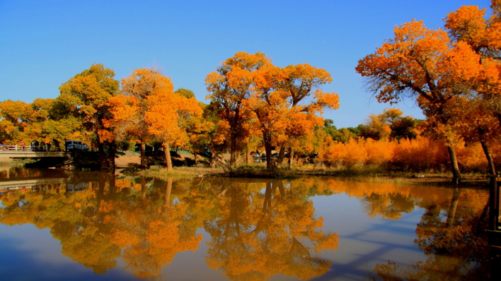 內蒙古阿拉善額濟納旗：滯留遊客3年內可免費遊覽核心景區