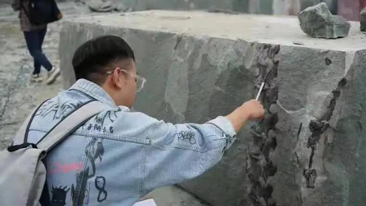 重大發現！四川發現距今約1.6億年的恐龍化石