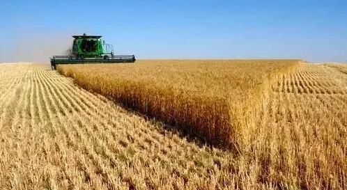 美國農產品期貨25日多數上漲