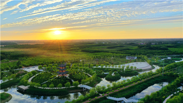 作風一變事業興：探尋山東樂陵高質量發展的「核心密碼」