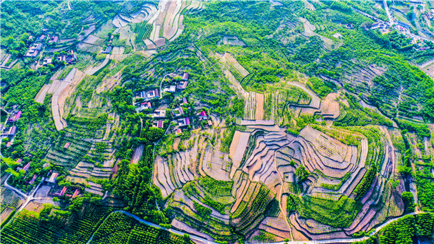 創新之鑰：財政精準「滴灌」長三角「菜籃子」