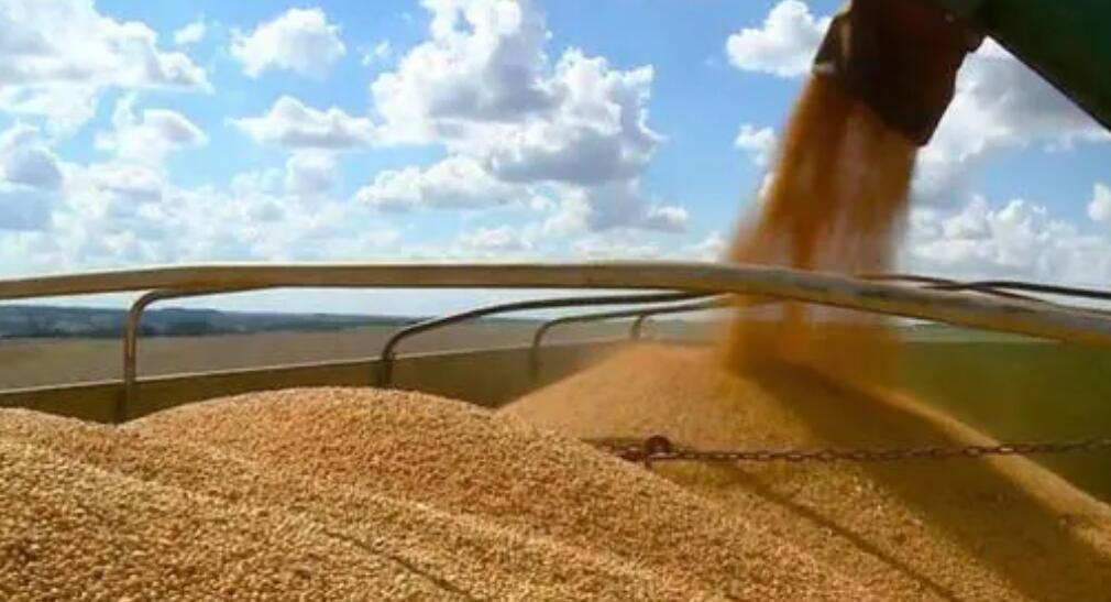 美國農產品期貨27日全線上漲