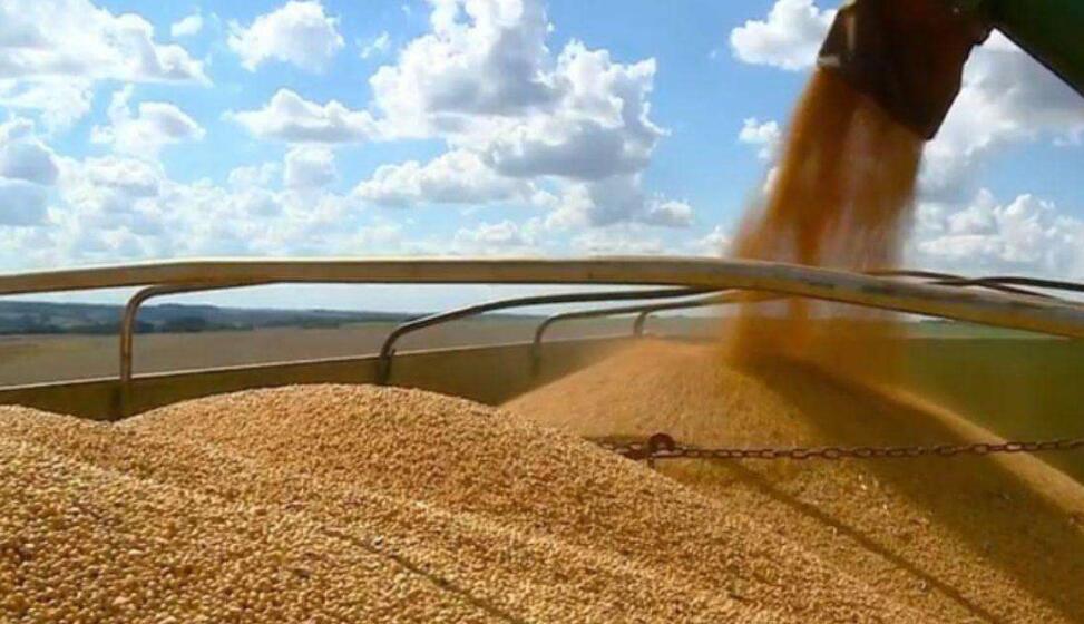 28日美國農產品價格漲跌不一