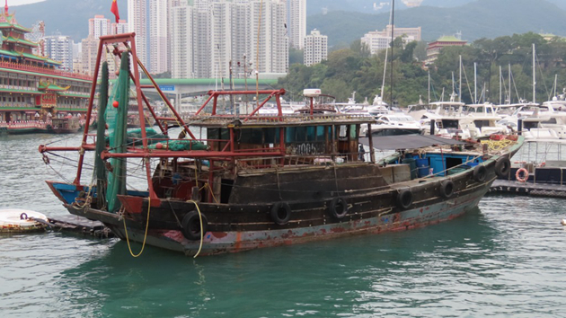 【港事講場】兩地合作加強打擊非法捕魚