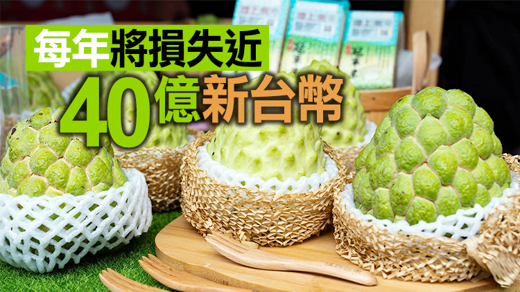 台東5000噸鳳梨釋迦銷售無門 當局承諾助銷但無下文