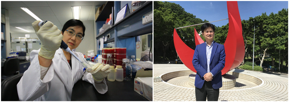 港中大港科大兩團隊榮獲國家自然科學獎