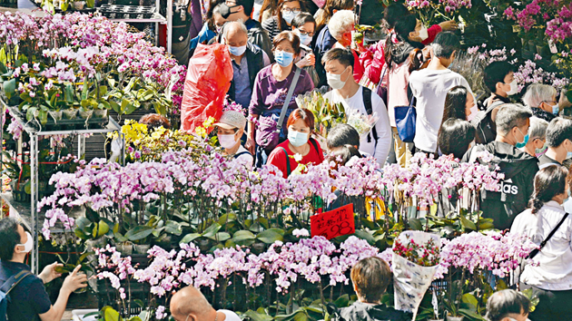 明年年宵市場攤位15日起公開競投 攤主及工作人員須打針和檢測