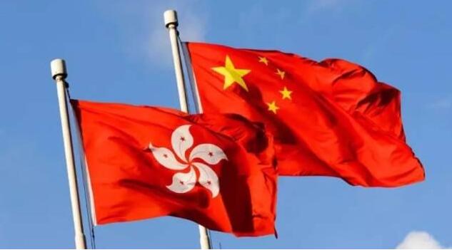 【參政議政】為國履職 履行選委的責任