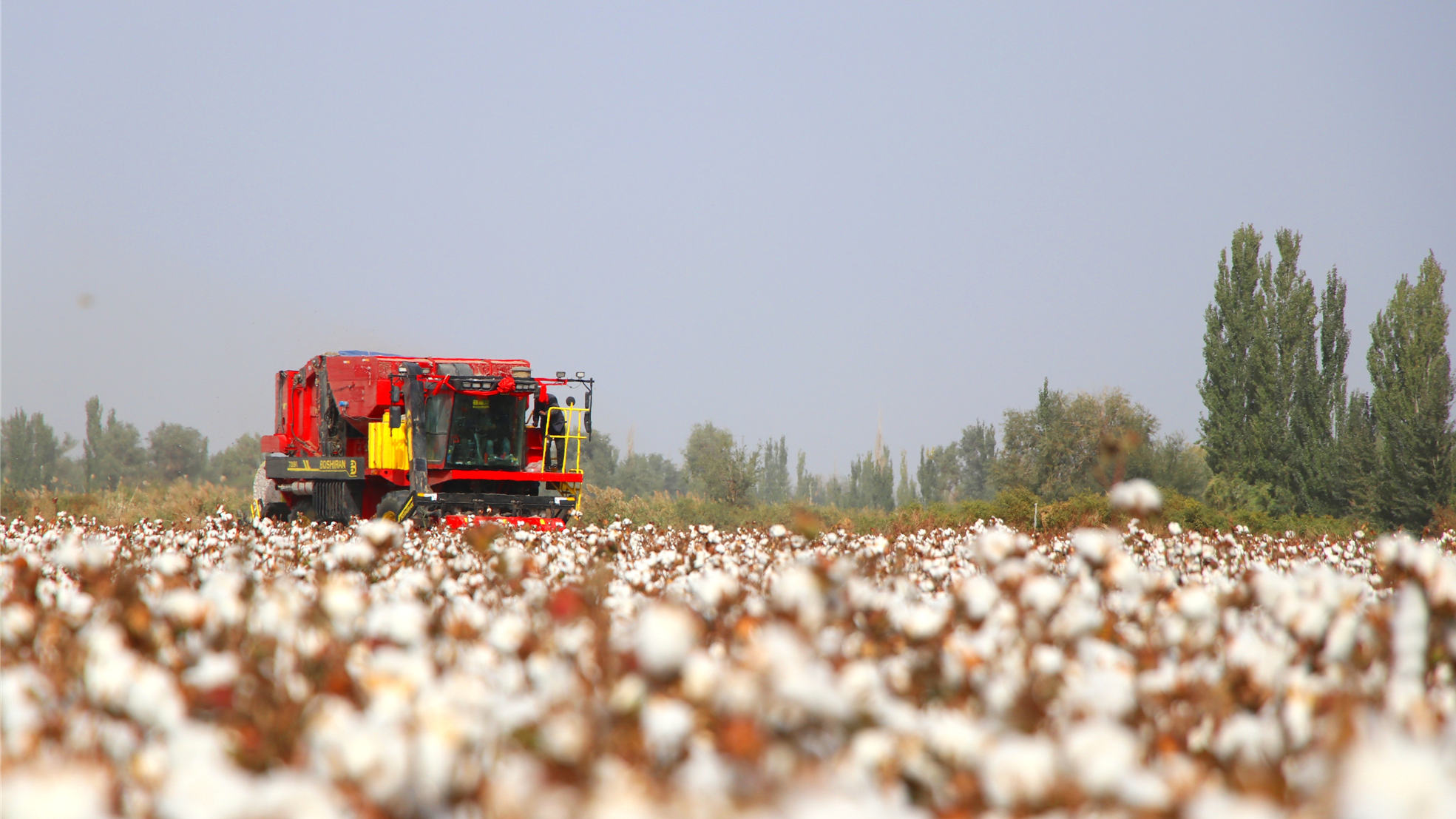廣東助力新疆南部鄉村振興