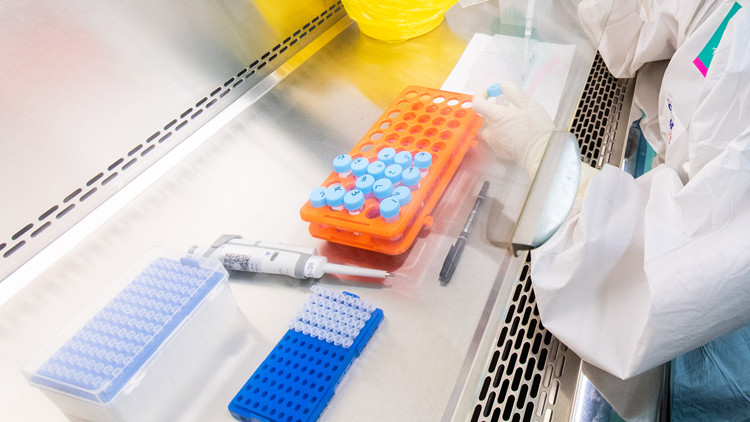 廣東新增境外輸入4+12例  均為廣州報告