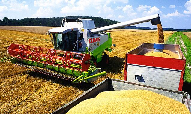 美國期貨交易所農產品8日漲跌不一