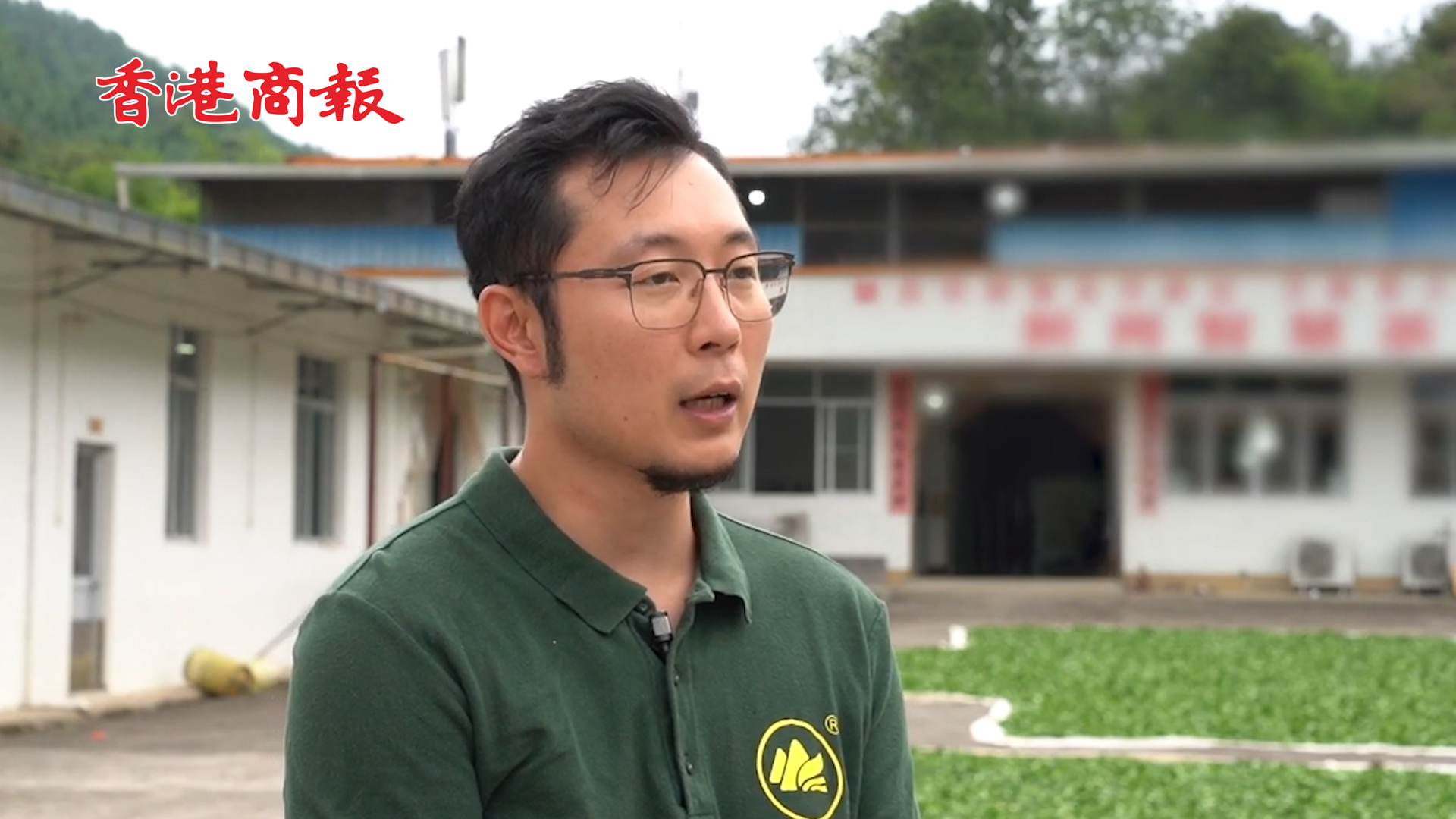 有片丨港青灣區開展種茶事業 帶領農民改善生活