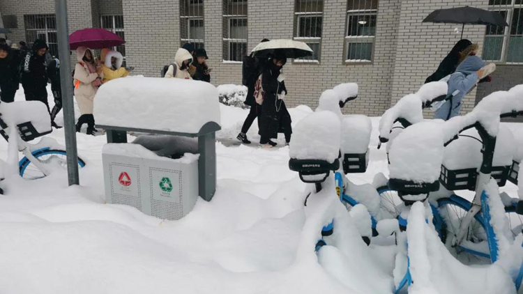 圖集 | 東北大學雪有多厚？圖亮了！南方孩子請進