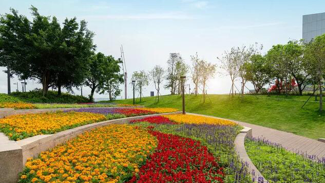 數量歷年之最！深圳19家企業入選這個榜單