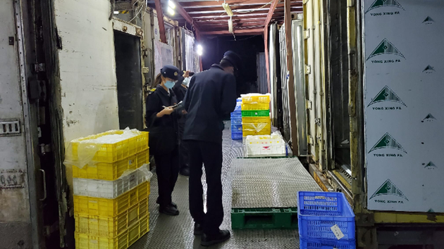 食環署跨部門聯合行動搗元朗無牌凍房 檢7.3萬公斤凍肉 