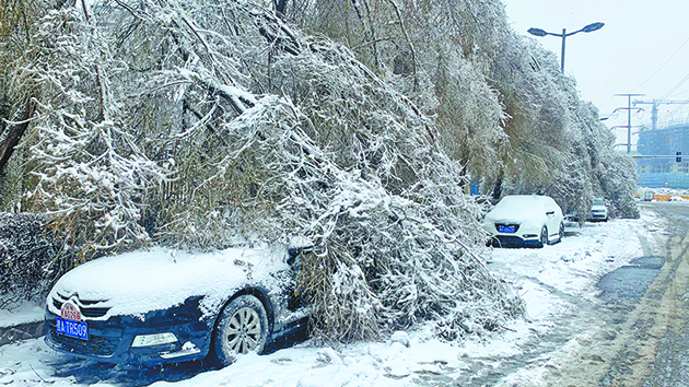 圖集｜本報記者直擊東北大雪
