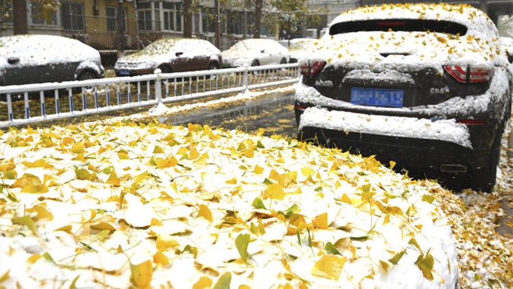 京一密接者及家人5人核酸陽性   4人已確診