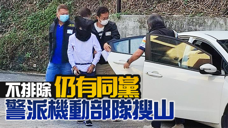 爆竊匪施放胡椒噴劑襲警被捕 涉非法入境無牌管有槍械等罪