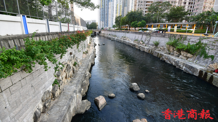 圖集丨啟德河活化煥新貌 鮮花盛開魚兒暢遊
