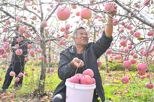 這項「山東第一」，紅色沂蒙是如何煉成的