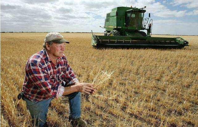美國農產品期貨15日漲跌不一
