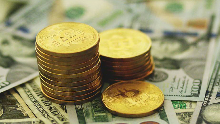 女股神稱比特幣5年內有望達到每枚56萬美元