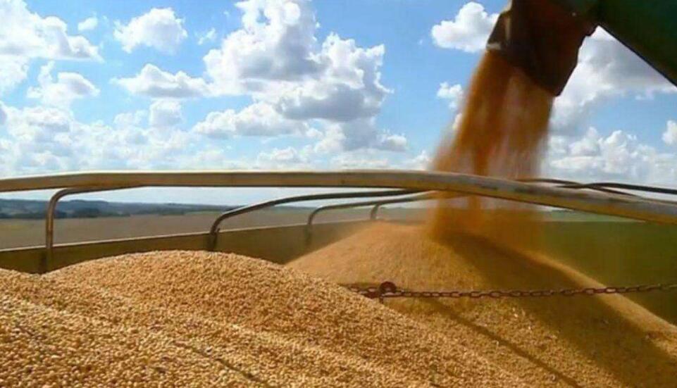 美國農產品期價18日全線下跌