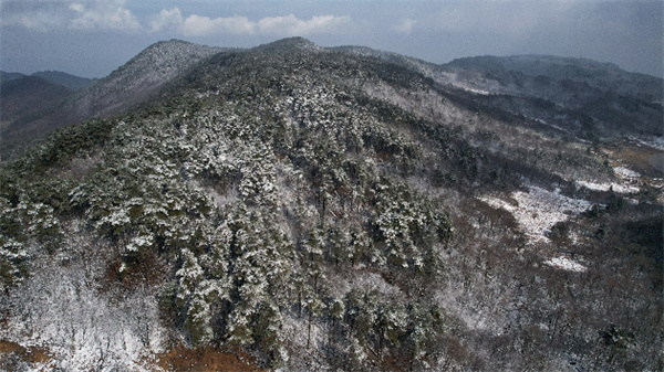 今日「小雪」：杭州臨安山區迎來降雪 主城區初雪還會遠嗎？