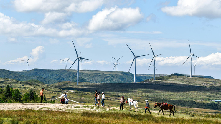 李鸿忠：堅決維護黨的核心和黨中央權威