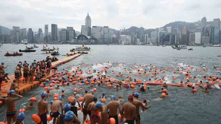 逾3100人報名維港泳 何詩蓓等5港將任大使