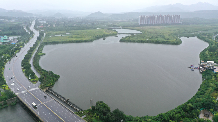 楊潔篪：推動構建人類命運共同體