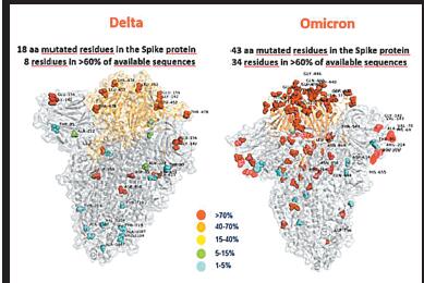 奧株病毒來勢猛中國專家有話說  「現時下結論為時太早」