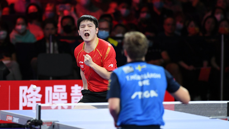 4:0！樊振東世乒賽男單奪冠