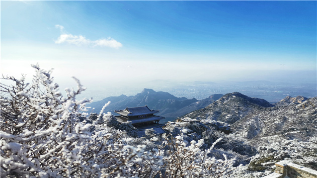 雪潤泰山  盡顯冬韻