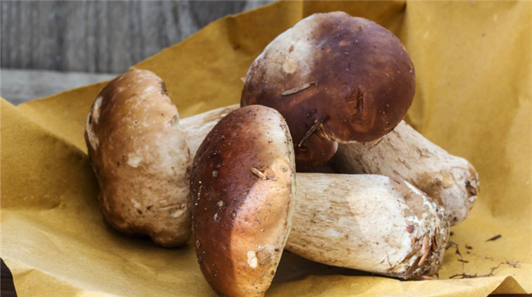 食安中心呼籲市民停止食用懷疑摻雜不可食用菇類牛肝菌