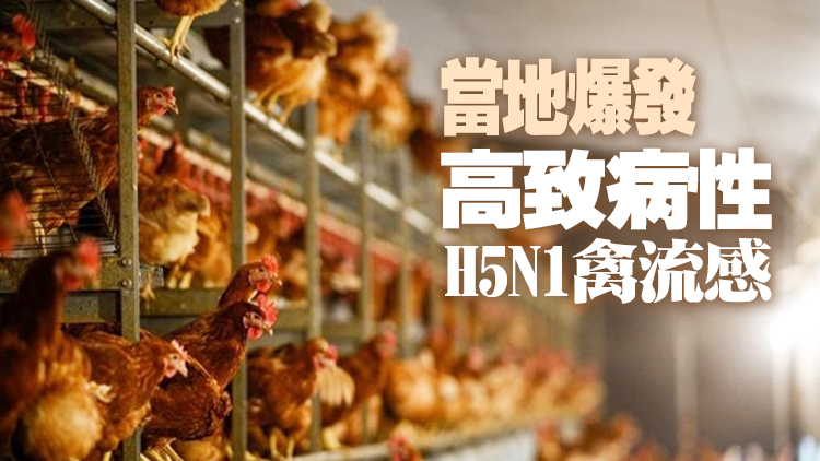 本港暫停進口英國部分地區禽類產品
