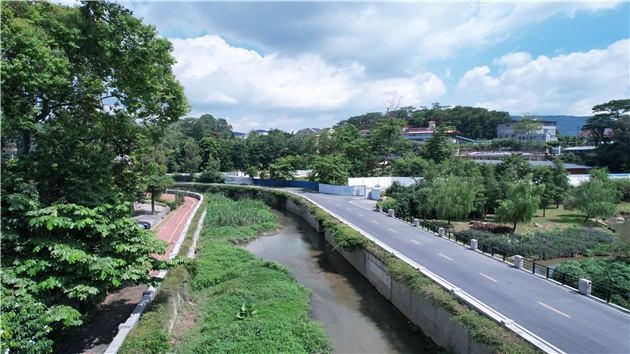 水清魚躍 生態優先 綠色發展  穗天河水污染防治見成效