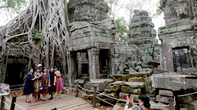 柬埔寨重開國門全面恢復各領域活動 11月逾1.21萬人次入境