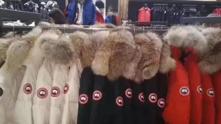 上海市消保委質疑加拿大鵝提交的說明內容空洞