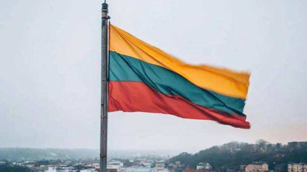 外媒：立陶宛重回中國海關系統 貨物通關程序遭拉長